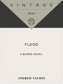 Flood Read online
