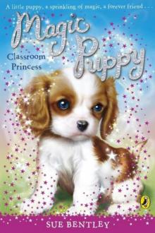 Magic Puppy: Classroom Princess Read online