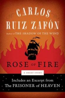 Rose of Fire Read online