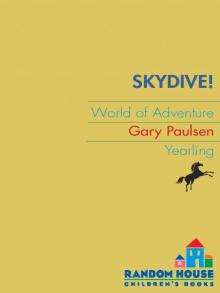Skydive Read online