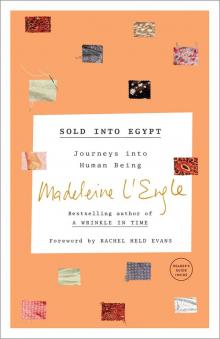 Sold into Egypt Read online