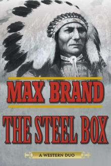 The Steel Box Read online