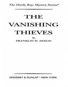 The Vanishing Thieves Read online