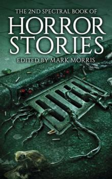 2nd Spectral Book of Horror Stories Read online
