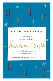 A Stone for a Pillow Read online