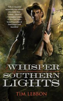 A Whisper of Southern Lights Read online