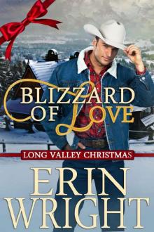 Blizzard of Love - A Long Valley Romance: Country Western Small Town Christmas Novella Read online