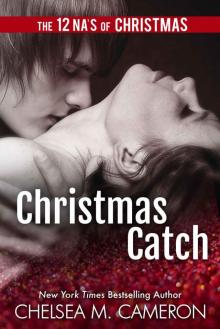 Christmas Catch: A Holiday Novella Read online