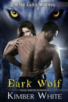 Dark Wolf: Wolf Shifter Romance (Wild Lake Wolves Book 2) Read online