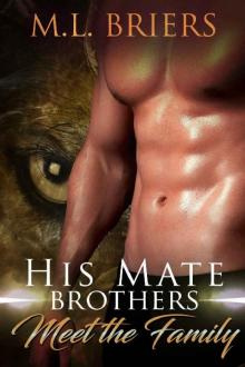His Mate_Brothers_Meet the Family Read online