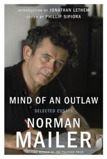 Mind of an Outlaw Read online