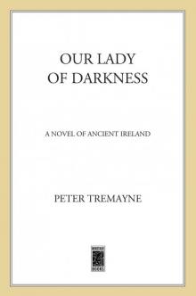 Our Lady of Darkness Read online