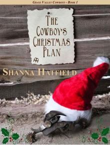 The Cowboy's Christmas Plan Read online