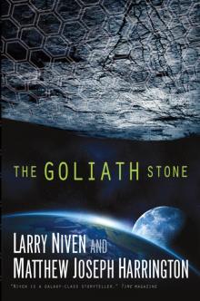 The Goliath Stone Read online