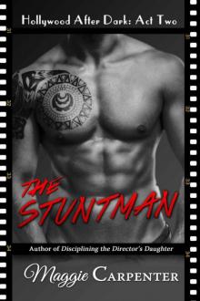 The Stuntman Read online
