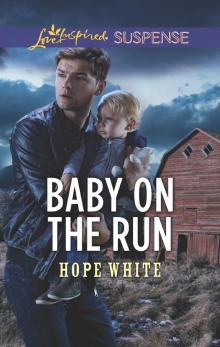 Baby on the Run Read online
