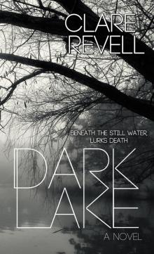 Dark Lake Read online