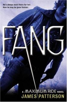 Fang: A Maximum Ride Novel Read online
