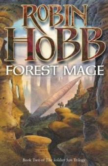 Forest Mage ss-2 Read online