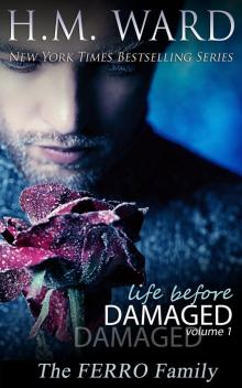 Life Before Damaged, Vol. 1 Read online