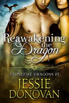 Reawakening the Dragon Read online