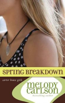 Spring Breakdown Read online
