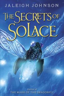 The Secrets of Solace Read online