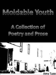 Moldable Youth: A Collection of Poetry and Prose Read online