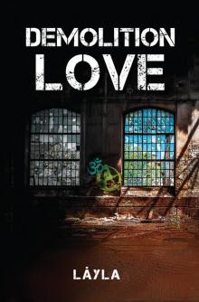 Demolition Love Read online