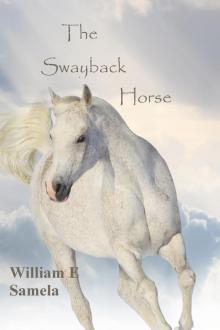 The Swayback Horse