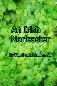An Irish Nor'easter Read online