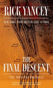 The Final Descent Read online