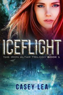 IceFlight Read online