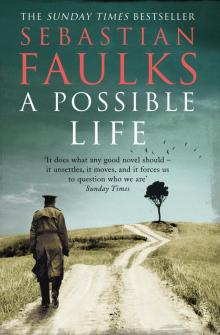 A Possible Life Read online