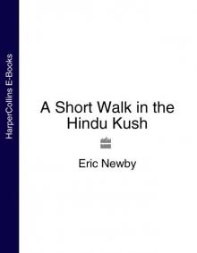 A Short Walk in the Hindu Kush Read online