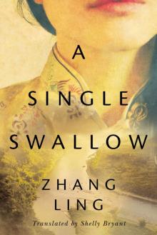 A Single Swallow Read online