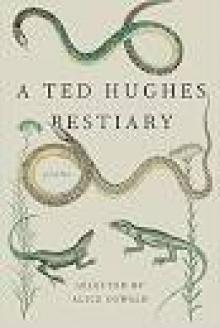 A Ted Hughes Bestiary Read online
