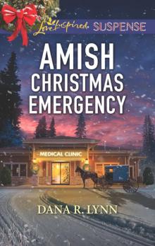 Amish Christmas Emergency Read online