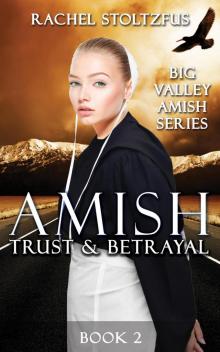 Amish Trust and Betrayal Read online