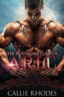 Aric: The Boundarylands Read online