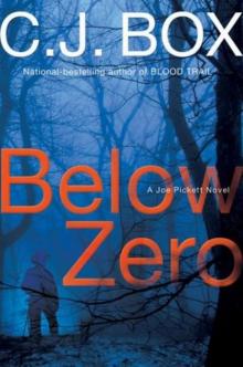 Below Zero Read online