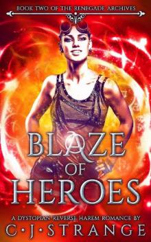 Blaze of Heroes Read online