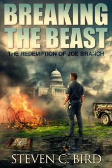 Breaking the Beast Read online