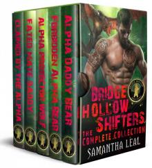 Bridge Hollow Shifters: The Complete Collection Read online