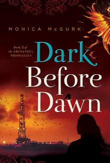 Dark Before Dawn Read online