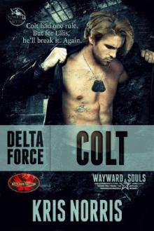 Delta Force: Colt: Brotherhood Protectors World/Wayward Souls Crossover Read online