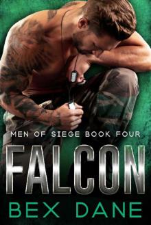 Falcon Read online