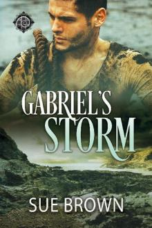 Gabriel's Storm Read online
