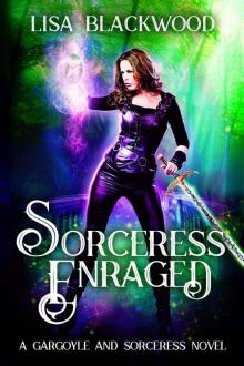 gargoyle and sorceress 05 - sorceress enranged Read online