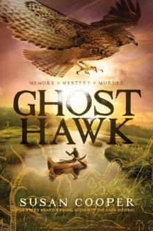 Ghost Hawk Read online